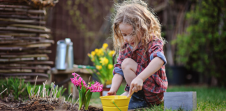 A Tradition In Bloom A girl planting flowers.