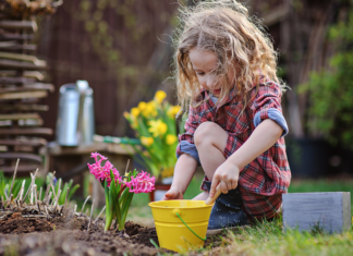 A Tradition In Bloom A girl planting flowers.