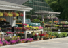 The Search for the Best Local Farms in Westchester A local Westchester farm.