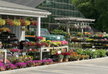 A local Westchester farm.