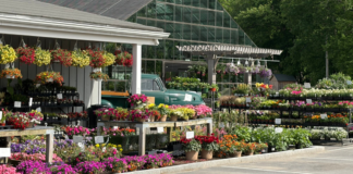 The Search for the Best Local Farms in Westchester A local Westchester farm.