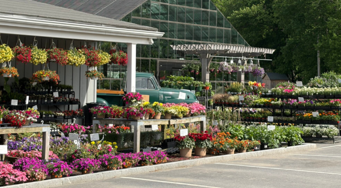 The Search for the Best Local Farms in Westchester A local Westchester farm.